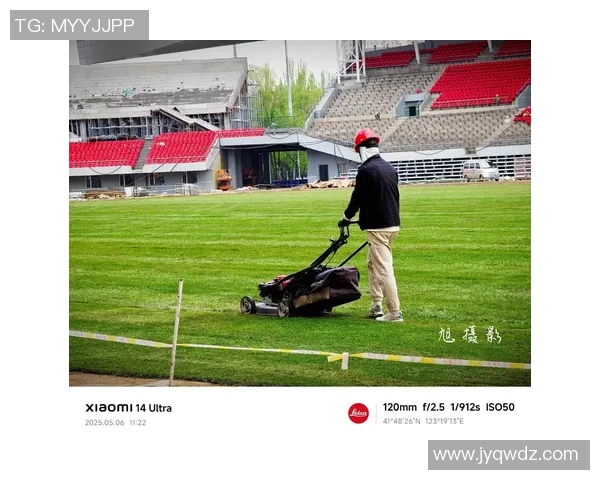 足球场草皮技术揭秘